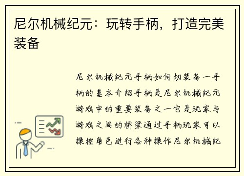 尼尔机械纪元：玩转手柄，打造完美装备